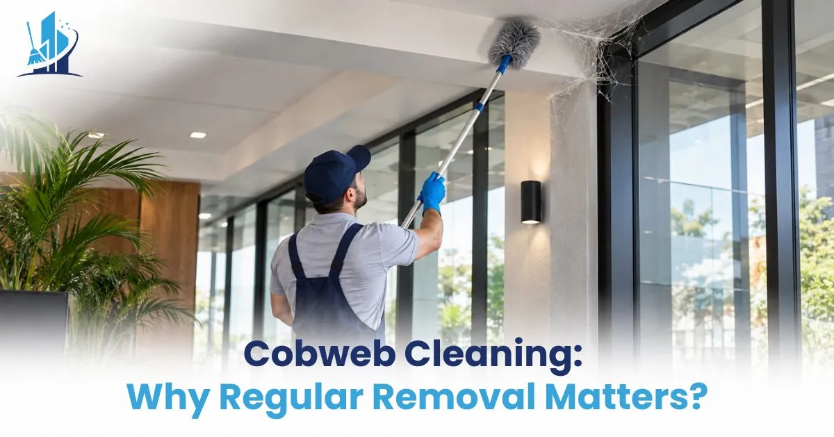 Cobweb Cleaning: Why Regular Removal Matters?